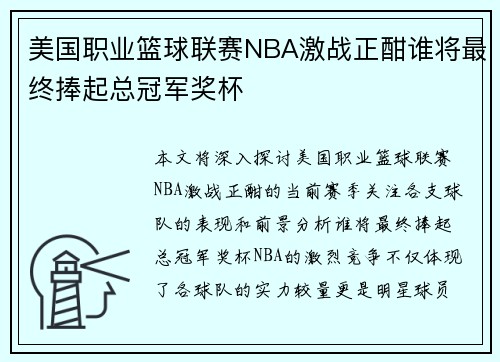 美国职业篮球联赛NBA激战正酣谁将最终捧起总冠军奖杯