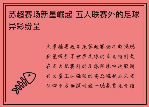 苏超赛场新星崛起 五大联赛外的足球异彩纷呈